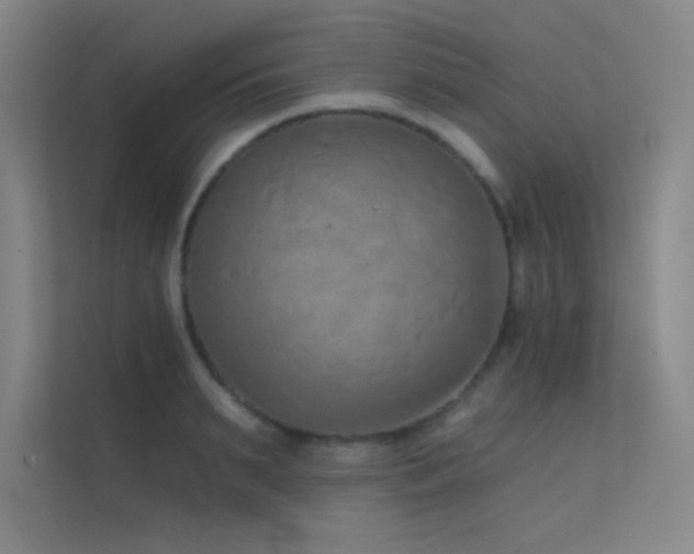 X0000112420895200908141408