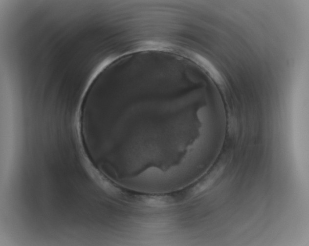 X0000112420899200908141408