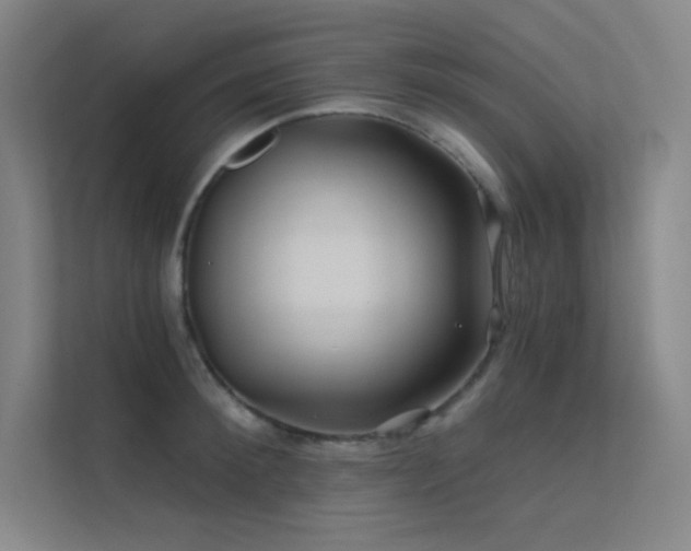 X0000112420900200908141408