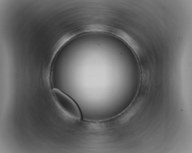 X0000112420901200908141408