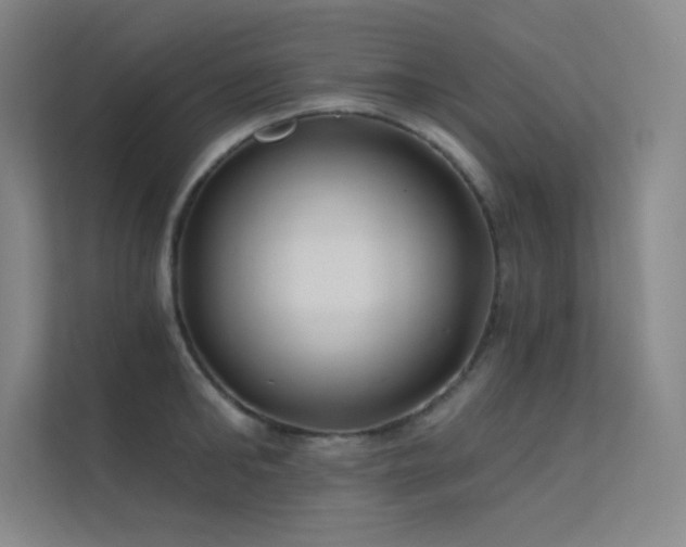 X0000112420902200908141408