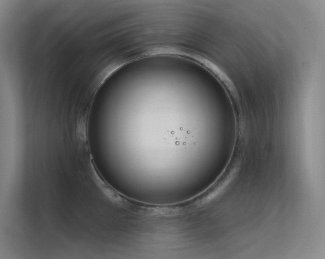 X0000112420905200908141408