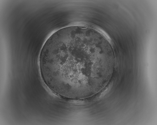 X0000112420907200908141408