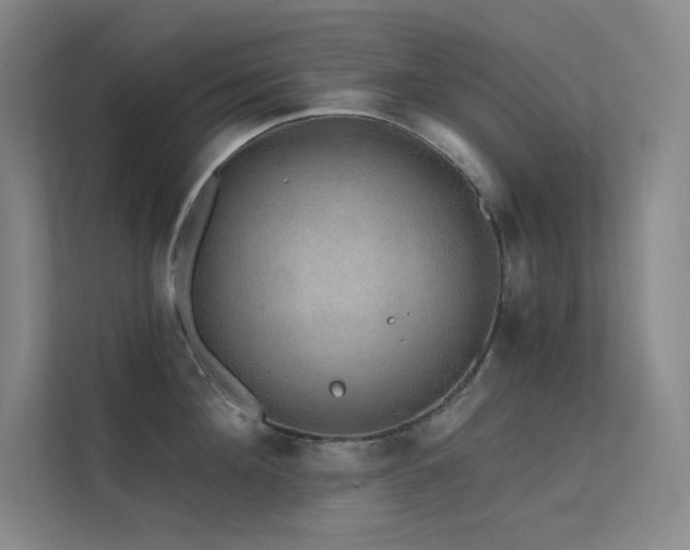 X0000112420908200908141408
