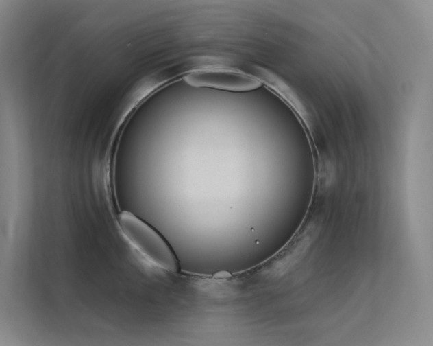 X0000112420909200908141408