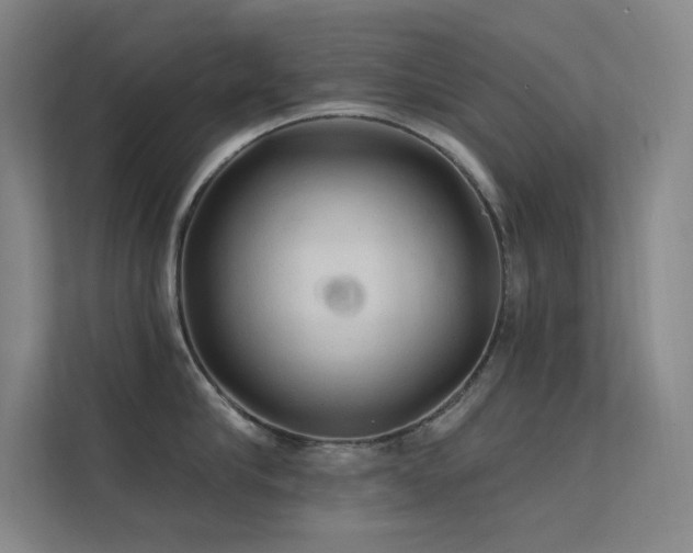 X0000112420910200908141408