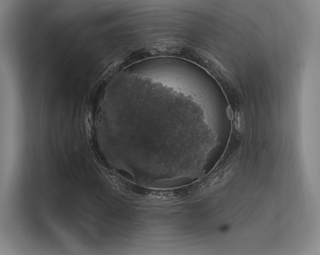 X0000112420915200908141408