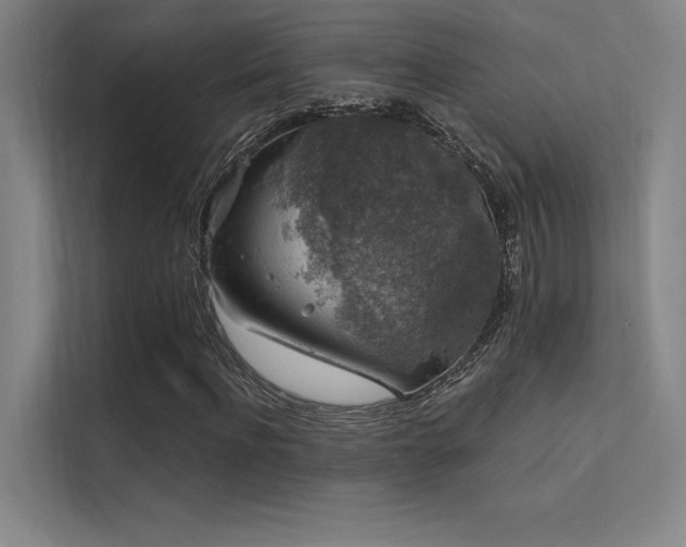 X0000112420916200908141408