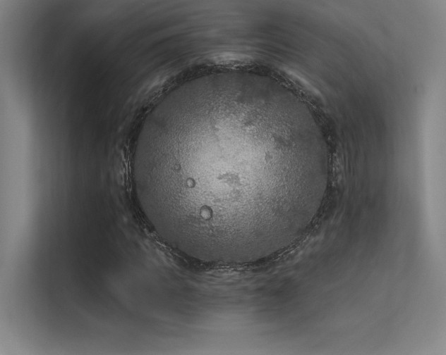 X0000112420917200908141408