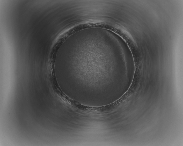 X0000112420920200908141408