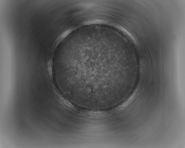 X0000112420921200908141408