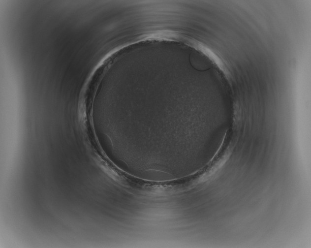 X0000112420923200908141408