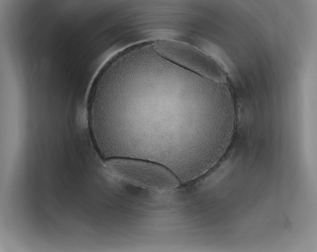 X0000112420924200908141408