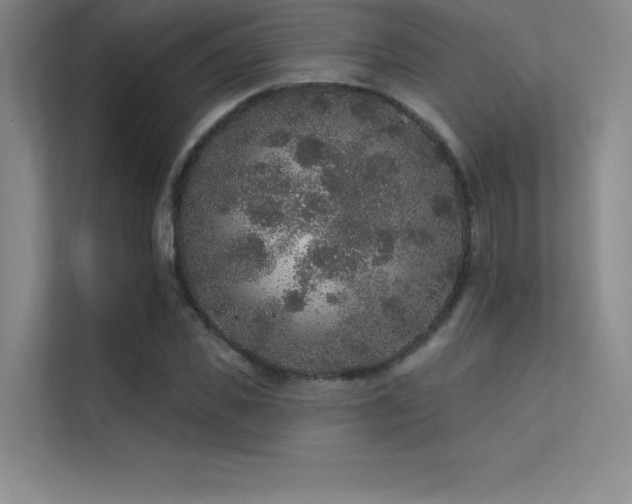 X0000112420925200908141408