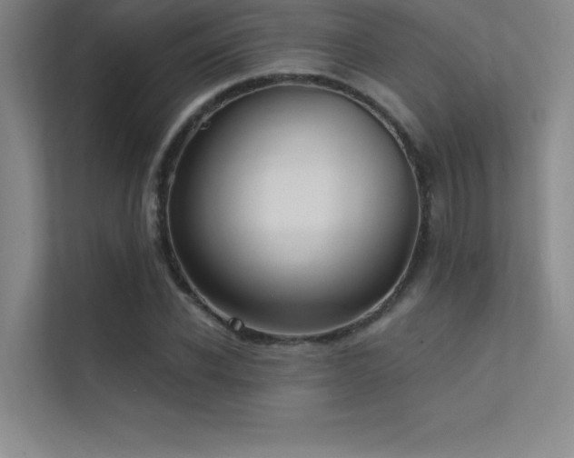 X0000112420926200908141408