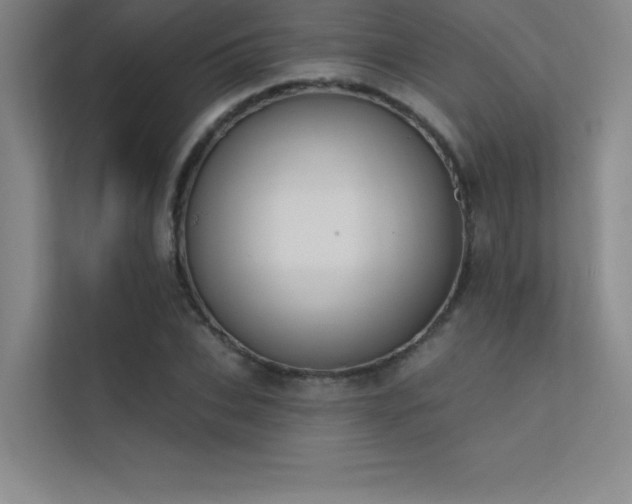 X0000112420927200908141408