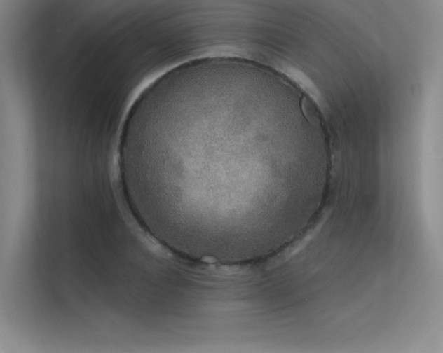 X0000112420928200908141408