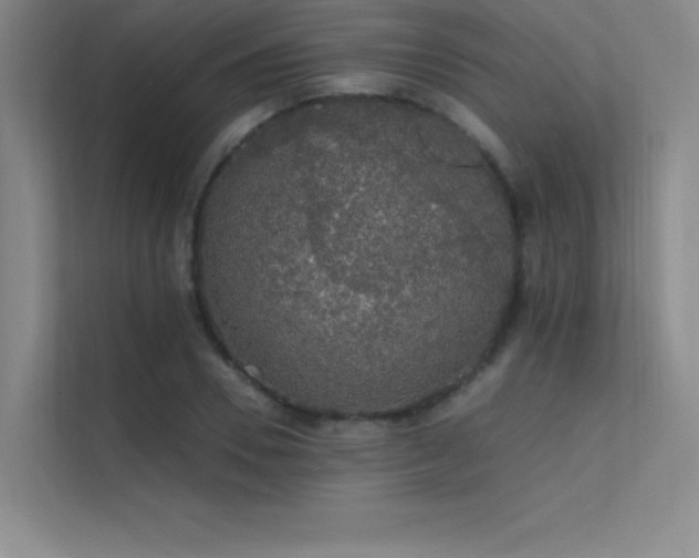 X0000112420930200908141408
