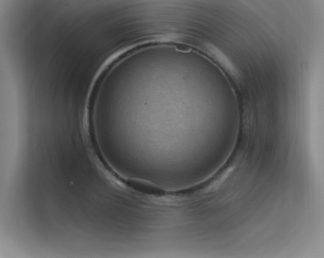 X0000112420932200908141408