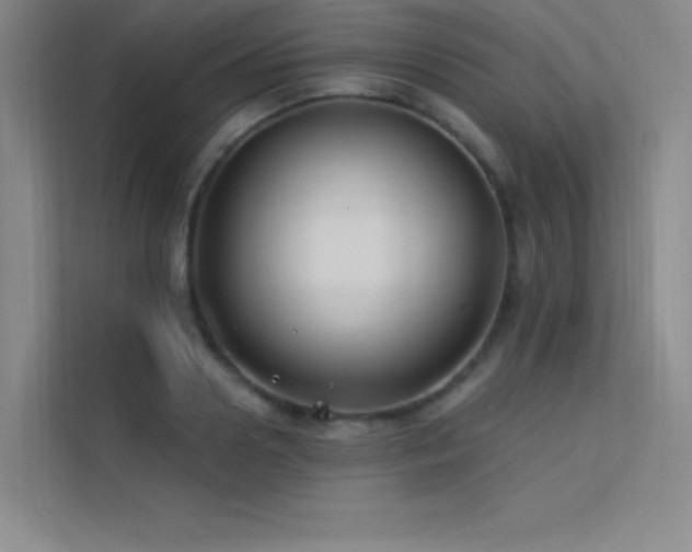 X0000112420938200908141408