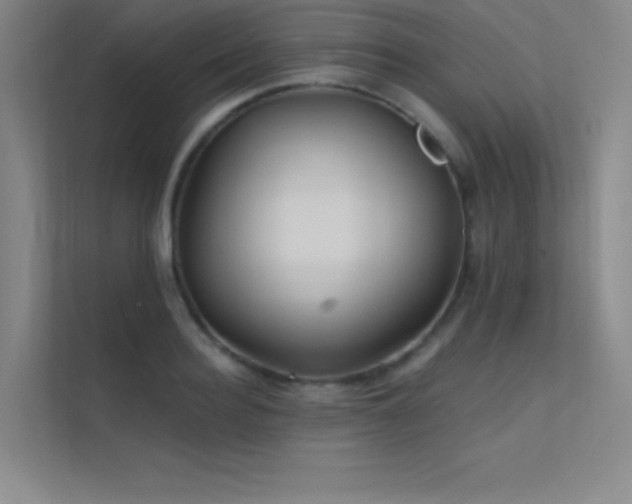 X0000112420940200908141408