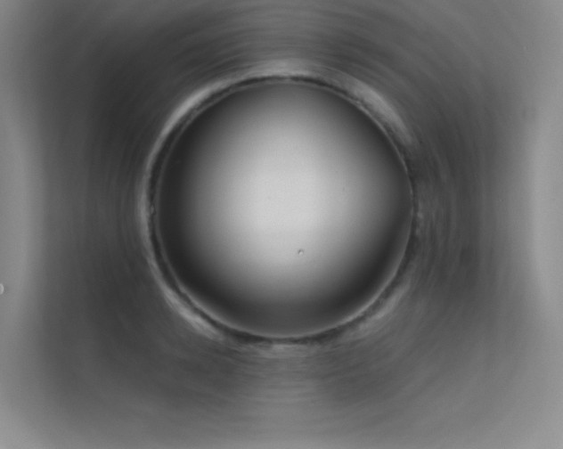 X0000112420942200908141408