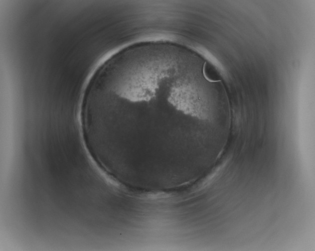 X0000112420943200908141408