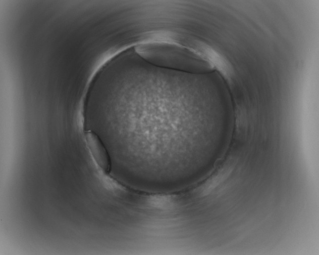 X0000112420944200908141408