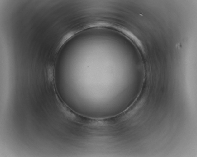 X0000112420945200908141408