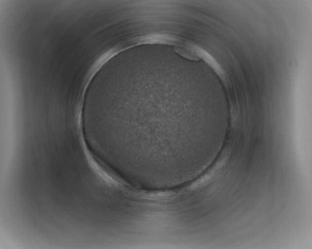 X0000112420946200908141408