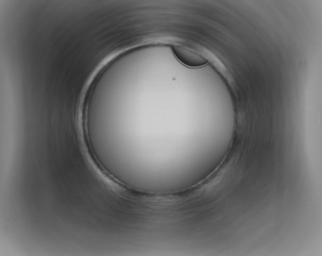 X0000112420947200908141408