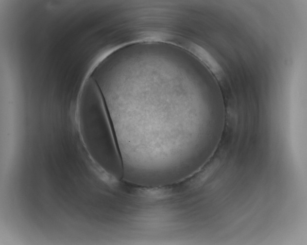 X0000112420948200908141408