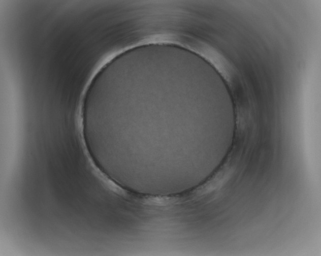 X0000112420950200908141408