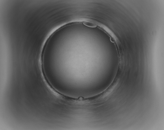 X0000112420951200908141408