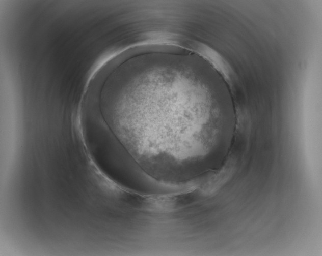 X0000112420952200908141408