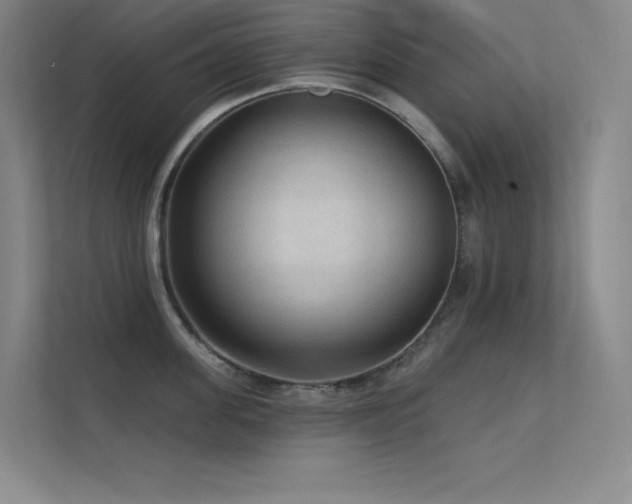 X0000112420955200908141408