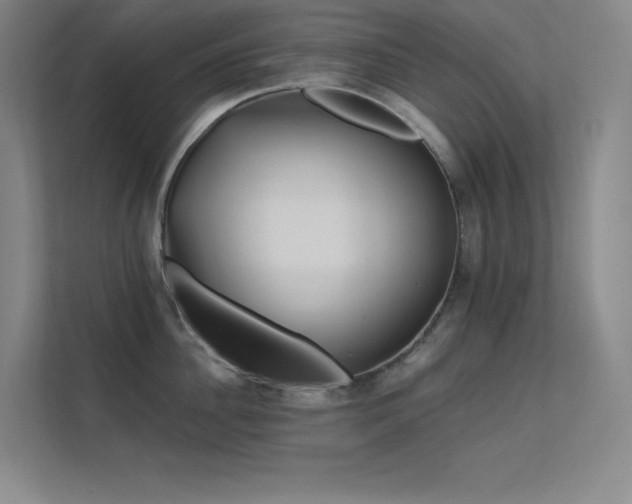 X0000112420956200908141408