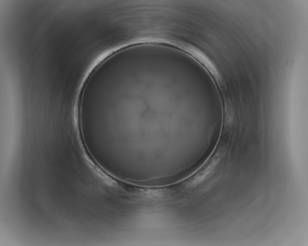 X0000112420958200908141408