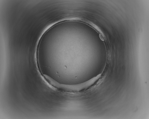 X0000112420959200908141408