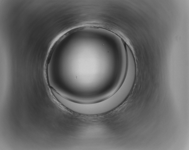 X0000112420960200908141408
