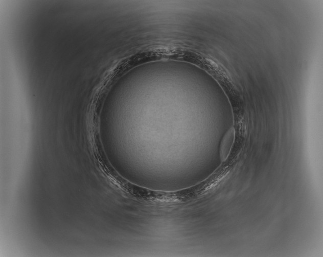 X0000112420961200908141408