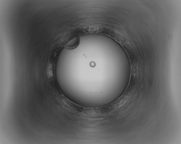 X0000112420962200908141408