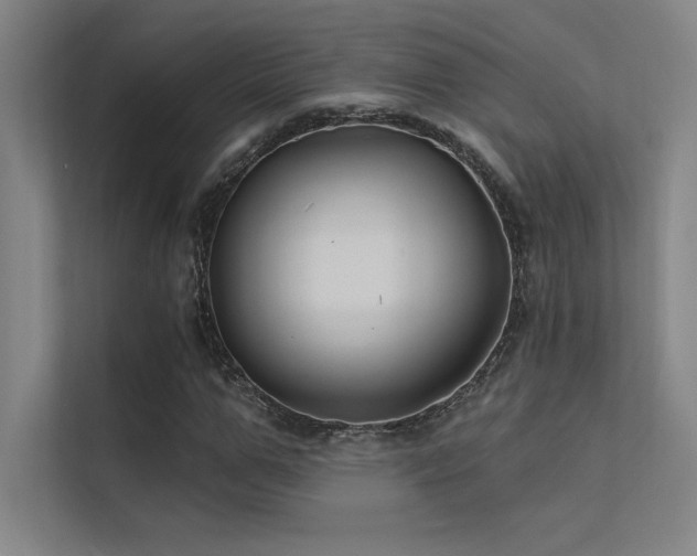 X0000112420967200908141407