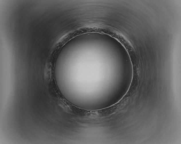 X0000112420968200908141407