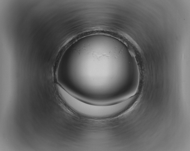 X0000112420969200908141407