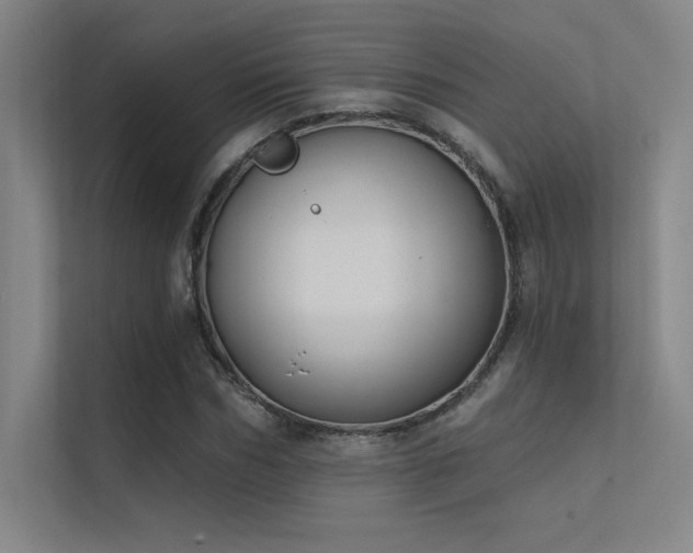 X0000112420970200908141407