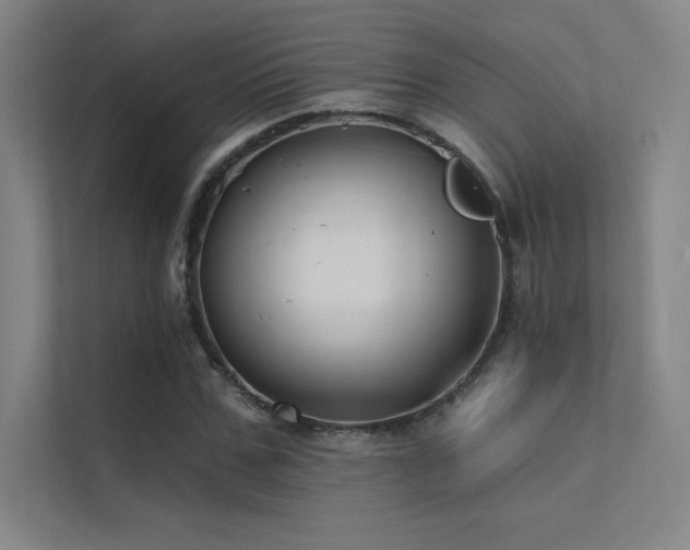 X0000112420971200908141407