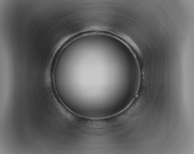 X0000112420972200908141407