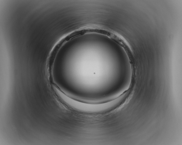 X0000112420973200908141407