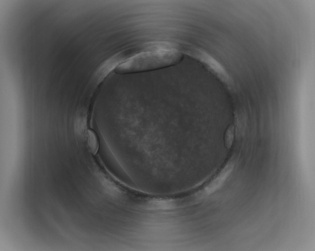 X0000112420977200908141407